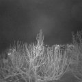 Webcam_20210116-204500
