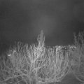 Webcam_20210116-210000
