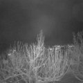 Webcam_20210116-211500