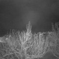 Webcam_20210116-214500