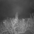 Webcam_20210116-220000
