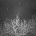 Webcam_20210117-050000