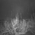 Webcam_20210117-061500