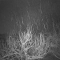 Webcam_20210117-063000
