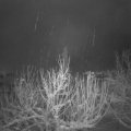 Webcam_20210117-064500