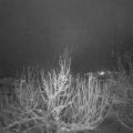 Webcam_20210117-071500