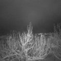 Webcam_20210117-073000