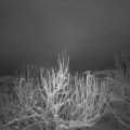 Webcam_20210117-081500
