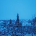 Webcam_20210117-090000