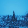 Webcam_20210117-093000
