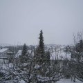 Webcam_20210117-110000