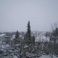 Webcam_20210117-111500