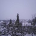 Webcam_20210117-174500