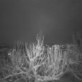 Webcam_20210117-184500
