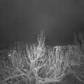Webcam_20210117-191500