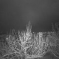 Webcam_20210117-194500