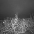 Webcam_20210117-200000