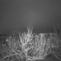 Webcam_20210117-203000