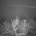 Webcam_20210117-204500
