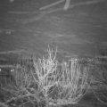 Webcam_20210117-211500