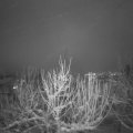 Webcam_20210117-213000