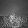 Webcam_20210118-054500