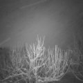 Webcam_20210118-064500
