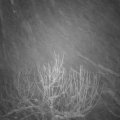 Webcam_20210118-070000