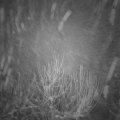 Webcam_20210118-074500