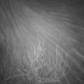 Webcam_20210118-080000