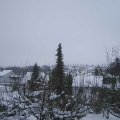 Webcam_20210118-110000
