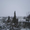 Webcam_20210118-123000