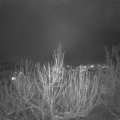 Webcam_20210118-190000