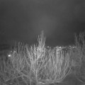 Webcam_20210118-191500