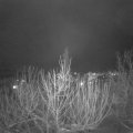Webcam_20210118-193000