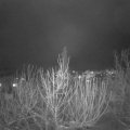 Webcam_20210118-201500