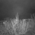Webcam_20210118-210000