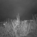 Webcam_20210118-220000
