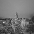 Webcam_20210119-183000