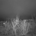 Webcam_20210119-184500
