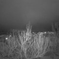 Webcam_20210119-190000