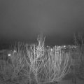 Webcam_20210119-191500