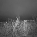 Webcam_20210119-194500