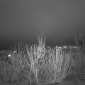 Webcam_20210119-200000