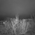 Webcam_20210119-200027