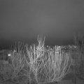 Webcam_20210119-201500