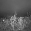 Webcam_20210119-201527