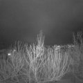 Webcam_20210119-214527