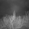 Webcam_20210120-061500