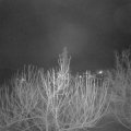 Webcam_20210120-063000
